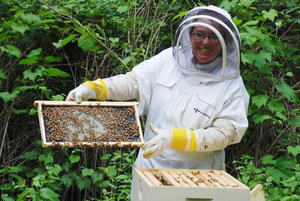 raising bees