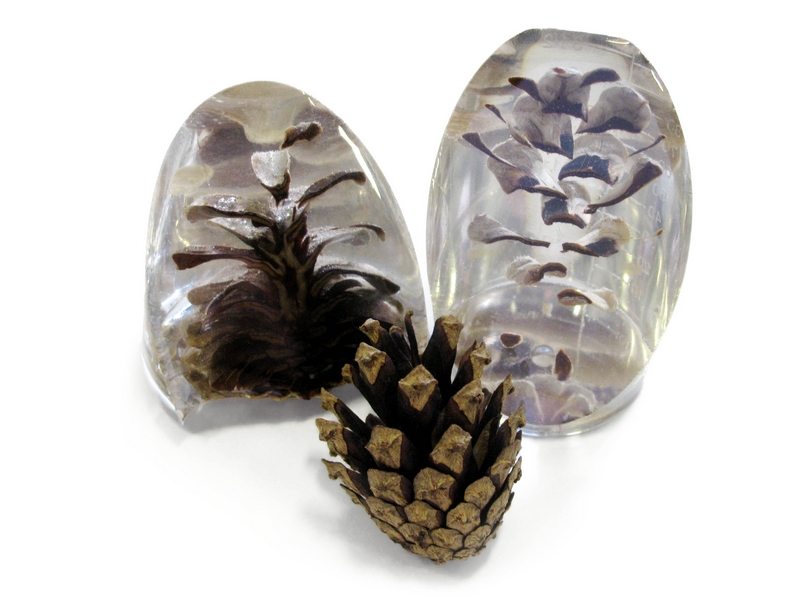 Epoxy cast pinecone