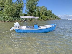 Blue boat in the water by trees